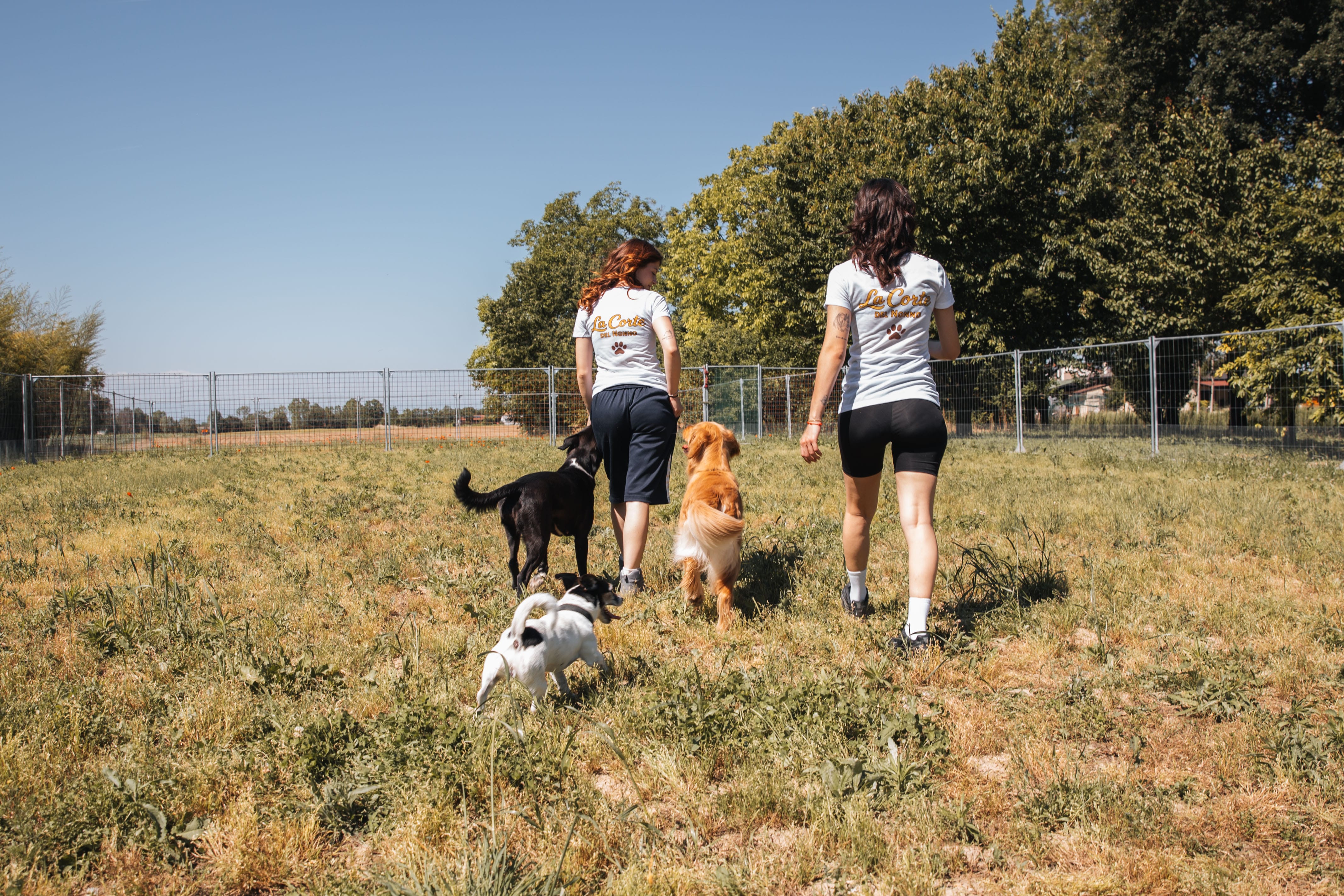 Passeggiata nel campo